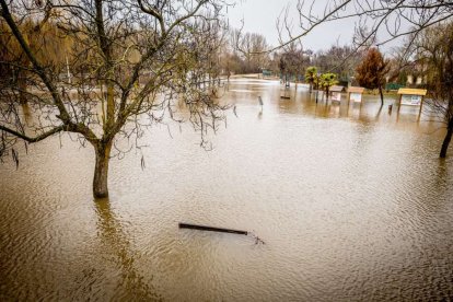 Las zonas aledañas al cauce permanecen bajo el agua