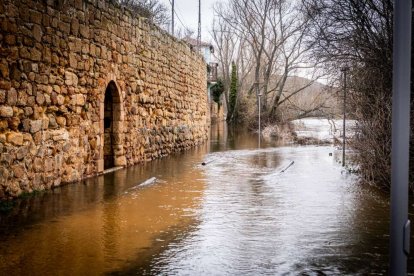 Las márgenes permanecen cortados