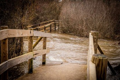 Las márgenes permanecen cortadas