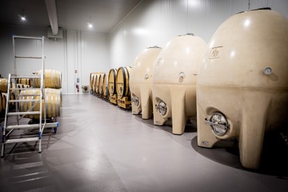 Huevos, fudres y barricas son sólo una parte de los 'tratamientos' con los que trabaja Dominio d'Echauz.