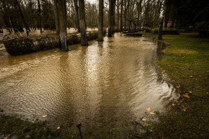 El agua baja desbocada a su paso por la villa adnamantina