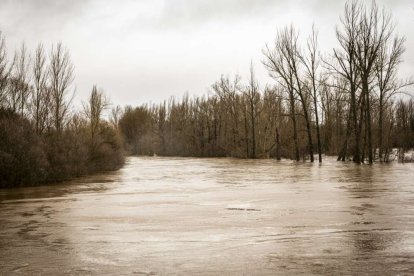 El agua baja desbocada a su paso por la villa adnamantina