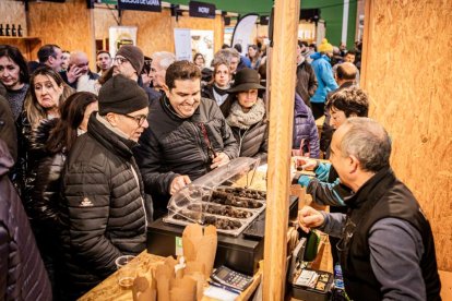 Feria de la Trufa de Abejar 2026