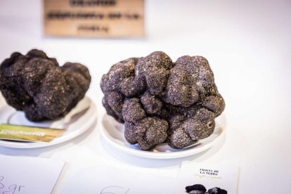 Feria de la Trufa de Abejar 2026