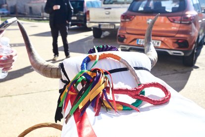 Los barroseros cumpliendo con la Fiesta de Interés Turístico