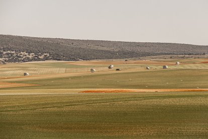 Salto en paracaidas de más de un centenar de soldados