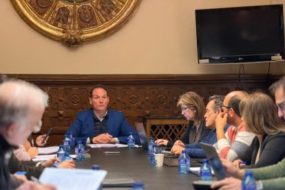 Comisión del Reto Demográfico en la Diputación.