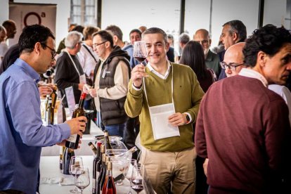 Una jornada para probar los mejores caldos de la Ribera