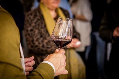 Una jornada para probar los mejores caldos de la Ribera