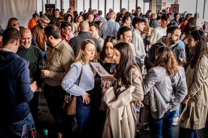 Una jornada para probar los mejores caldos de la Ribera