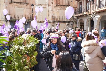 Soria se tiñe de morado por la igualdad en el 8M.