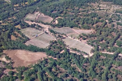 Vista aérea de las fincas donde se cultivan frambuesas y otros frutos del bosque en el entorno natural de El Royo.