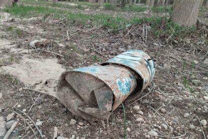 La Asociación de Pescadores Deportivos de los Ríos Abión y Ucero organizó la actividad