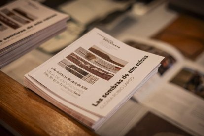 La muestra puede visitarse en el Palacio de la Audiencia
