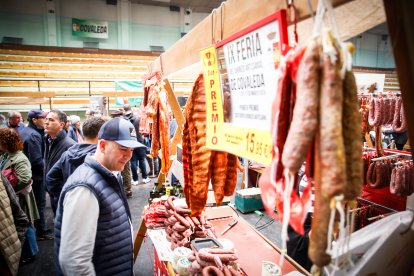 Ambiente festivo y gastronómico en el polideportivo de la localidad pinariega.