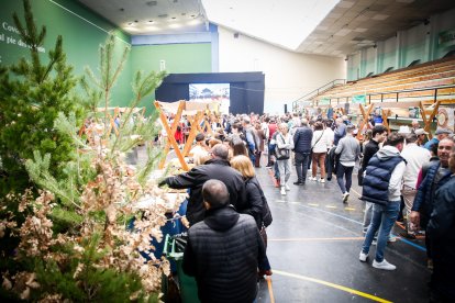 Ambiente festivo y gastronómico en el polideportivo de la localidad pinariega.