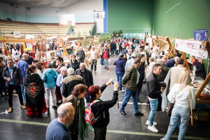 Ambiente festivo y gastronómico en el polideportivo de la localidad pinariega.