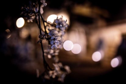Un recorrido entre la ermita de la Virgen del Mirón y la Concatedral de San Pedro