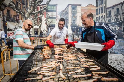 Jóvenes solidarios contra el hambre