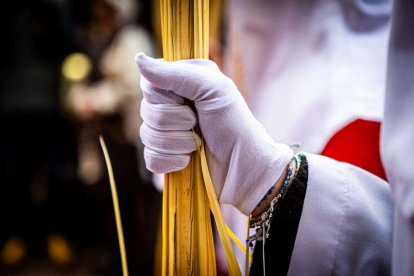 Domingo de Ramos con la procesión de 'La Borriquilla'