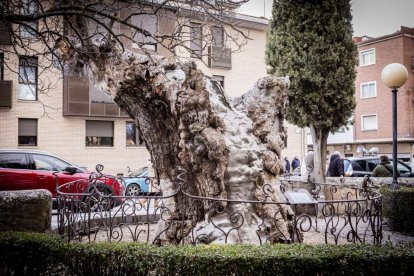 Viacrucis penitencial de la Cofradía de la Flagelación del Señor