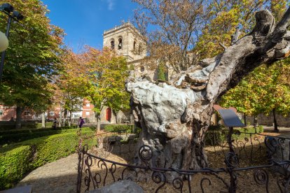 Olmo viejo de Antonio Machado junto a la iglesia del Espino en Soria