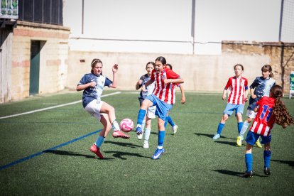 El torneo organizado por el San José reunió a 10 equipos nacionales.