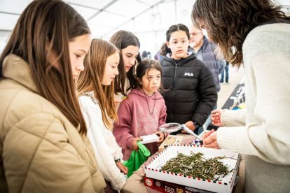 Puestos de venta al público y actividades durante toda la jornada