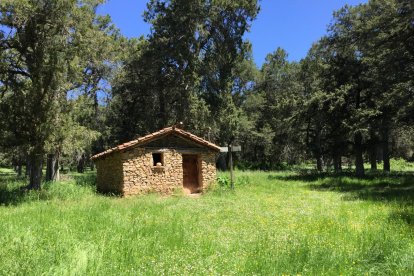 Pequeñas construcciones tradicionales aparecen integradas en el Sabinar de Calatañazor, reflejo del uso histórico de este paisaje natural