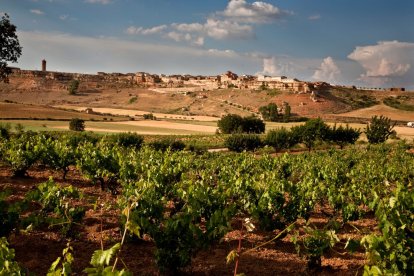 Viñedos de Dominio de Atauta.