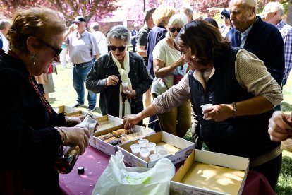 Una tradicional jornada festiva en el Parque Santa Clara a la que acudió todo el barrio
