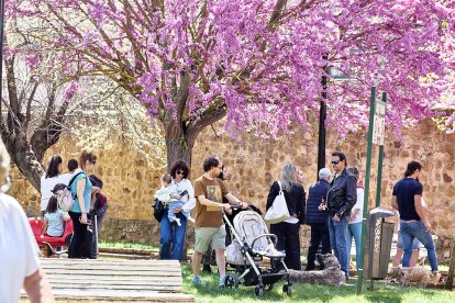 Una tradicional jornada festiva en el Parque Santa Clara a la que acudió todo el barrio