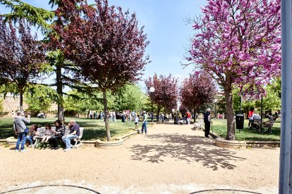 Una tradicional jornada festiva en el Parque Santa Clara a la que acudió todo el barrio