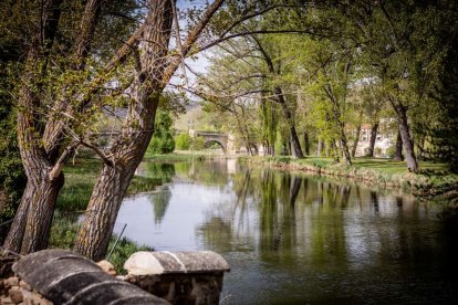 Una fiesta literaria para rendir homenaje a Juan Antonio Gaya Nuño y su obra El Santero de San Saturio