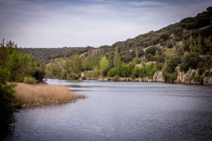 Una fiesta literaria para rendir homenaje a Juan Antonio Gaya Nuño y su obra El Santero de San Saturio