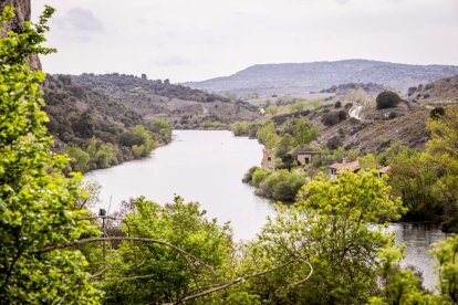 Una fiesta literaria para rendir homenaje a Juan Antonio Gaya Nuño y su obra El Santero de San Saturio
