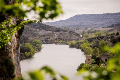 Una fiesta literaria para rendir homenaje a Juan Antonio Gaya Nuño y su obra El Santero de San Saturio