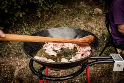 Ólvega celebra este gran día en el paraje de Campiserrado