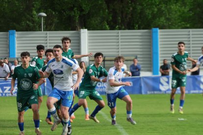 El Almazán cayó derrotado en La Arboleda