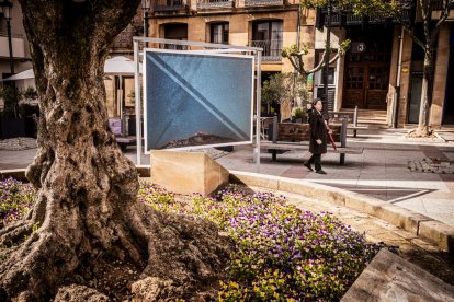 Una de las distintas muestras que OnPhoto Soria traerá en esta edición