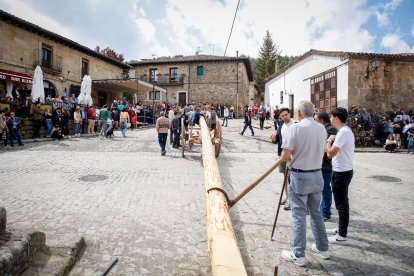 Como cada 1 de mayo, la localidad pinariega cumple con su tradición.