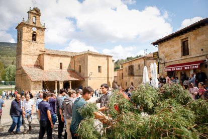 Como cada 1 de mayo, la localidad pinariega cumple con su tradición.