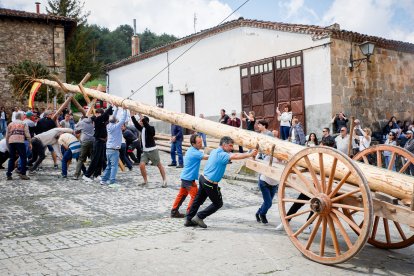 Como cada 1 de mayo, la localidad pinariega cumple con su tradición.