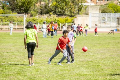 Los Colegios Rurales Agrupados participaron una jornada de educación y deporte
