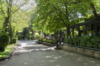 En la Alameda de Cervantes la vida fluye con elegancia