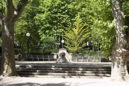 En la Alameda de Cervantes la vida fluye con elegancia