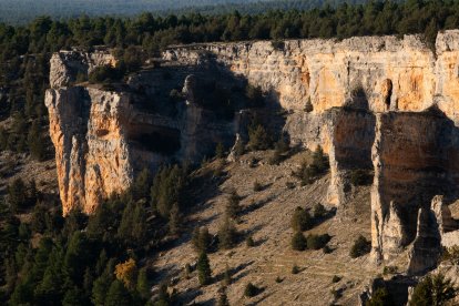 Vista del Cañón de Río Lobos desde la Galiana. 
