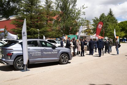 La feria regresa a La Arboleda con la habitual presencia del campo pero también de alimentación, motor o artesanía.