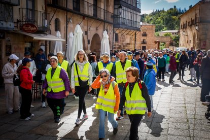 La marea solidaria a su paso por el centro de la ciudad durante la jornada de hoy.