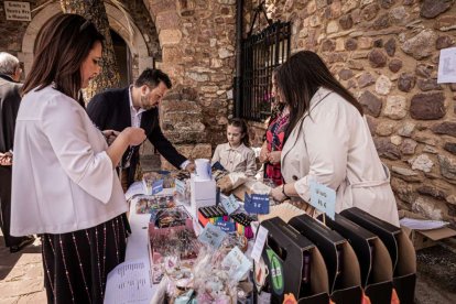 Devoción ante la patrona de Ólvega, la Virgen de Olmacedo